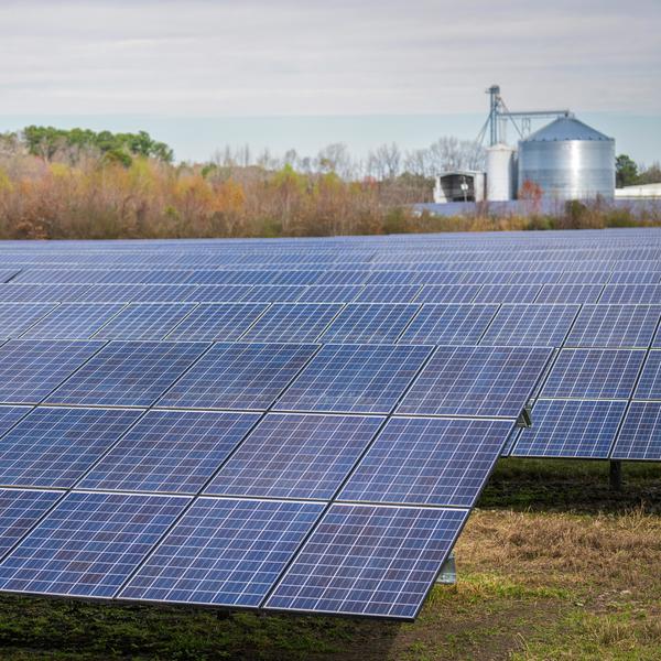 PV plant in the filed